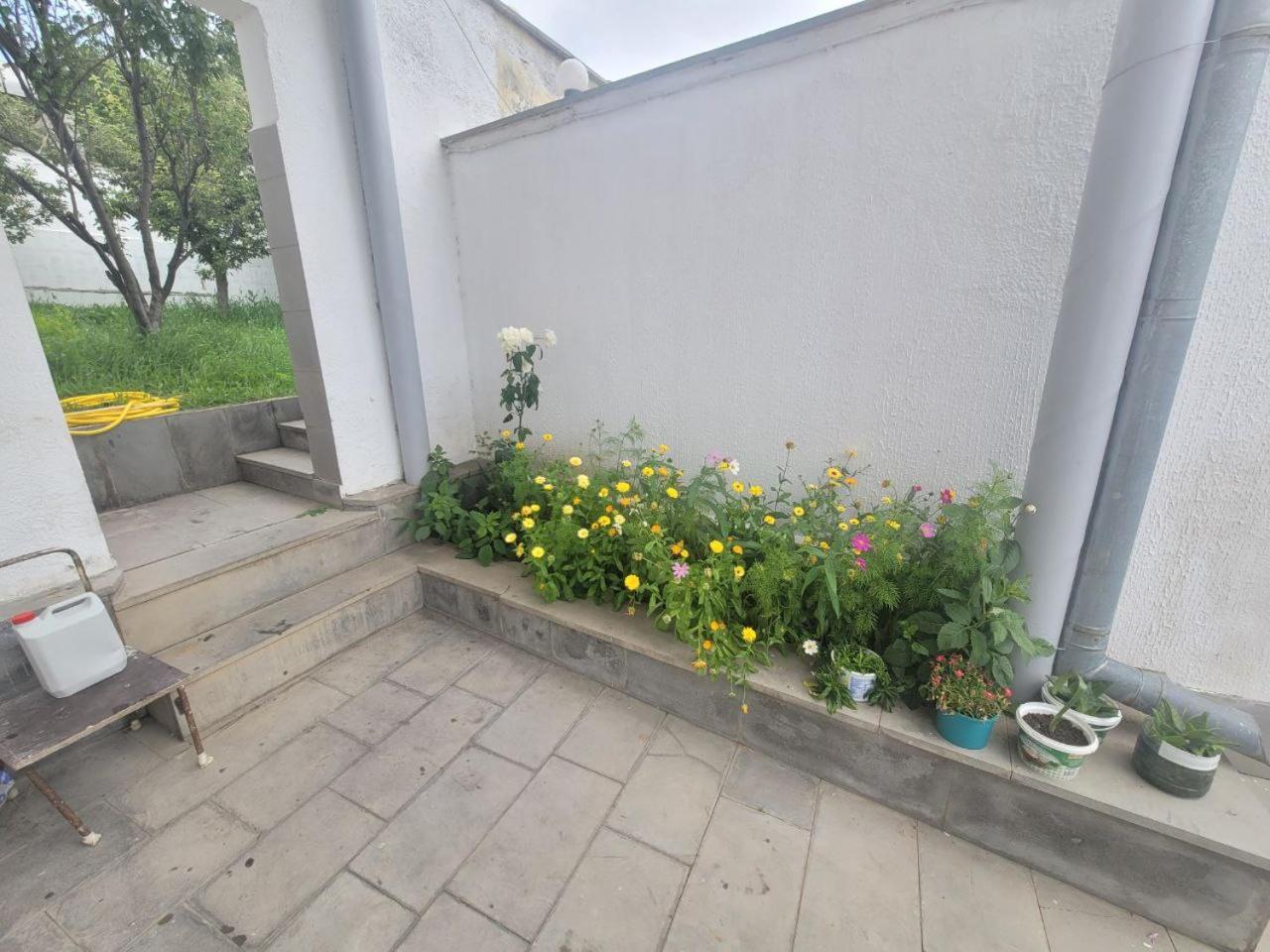 Tsaghkadzor Inn Guest House Eksteriør bilde